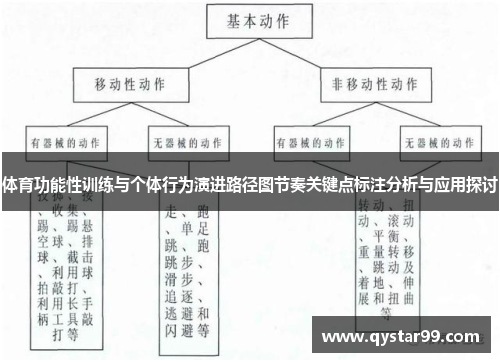 体育功能性训练与个体行为演进路径图节奏关键点标注分析与应用探讨